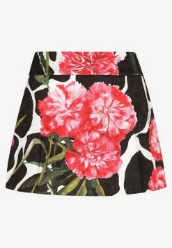 Dolce & Gabbana Floral Print Mini Skirt Multicolor