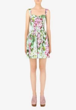 Dolce & Gabbana Bluebell-Print Poplin Corset Mini Dress Multicolor